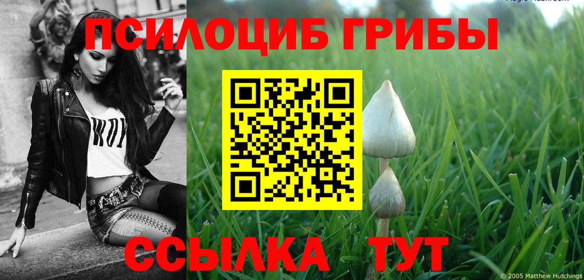 Галлюциногенные грибы ЛСД Чехов